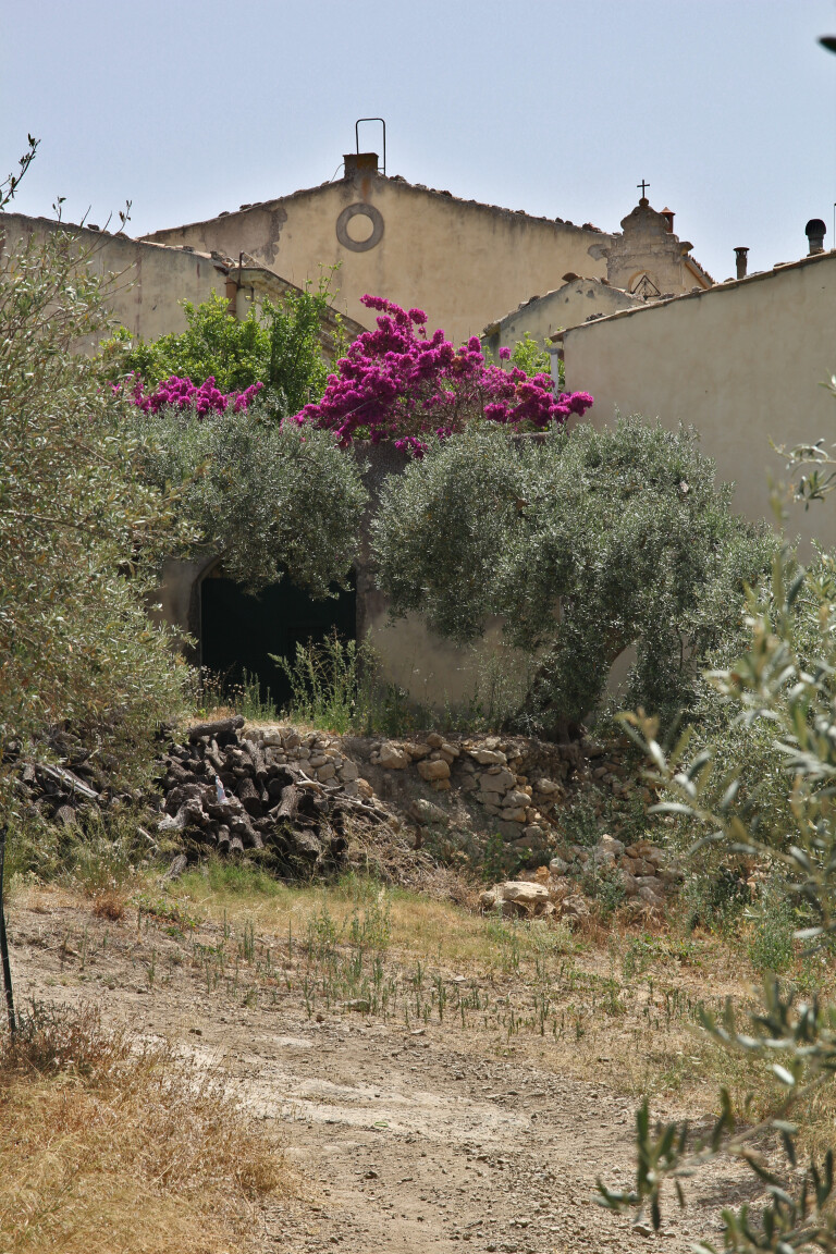 Pianogrillo Farm Organic Winery, Chiaramonte Gulfi, Sicily